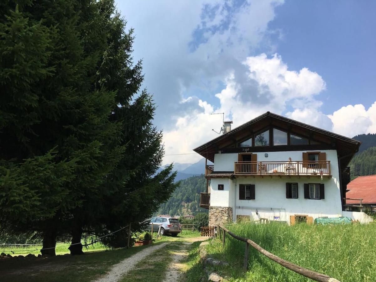 Casa Bernard Zortea Vanoi Cuore Verde Del Trentino Canal San Bovo Extérieur photo